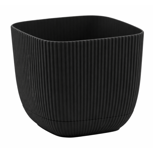 ΓΛΑΣΤΡΑKI ΓΙΑ ΚΑΚΤΑΚΙ ΤΕΤΡΑΓΩΝΟ CORAL 15x15x13cm 1.8L