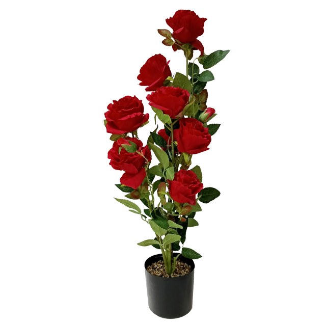 ΓΛΑΣΤΡΑΚΙ ΠΛΑΣΤΙΚΟ ΜΕ ΛΟΥΛΟΥΔΙ 75cm Νο3224